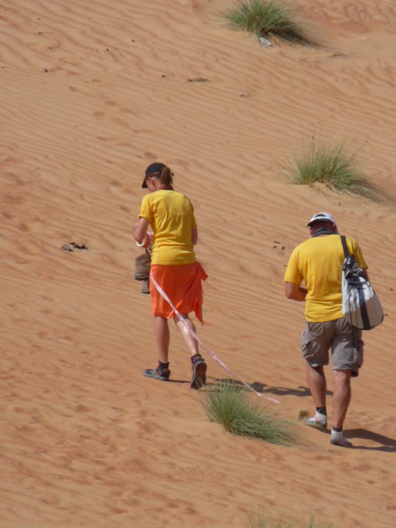 omantrail56.jpg