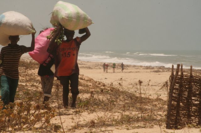 avdenturerstrackofsenegal210.jpg